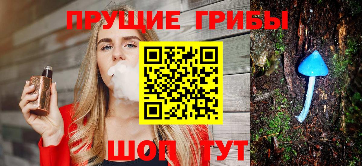 Грозный  Галлюциногенные грибы MAGIC MUSHROOMS  хочу   Вход с VPN  Псилоцибиновые грибы Psilocybine cubensis 
